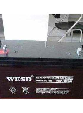 WESD无敌蓄电池WD17-12 12V7AH12A20A24A33A38A40A65A100A直流屏