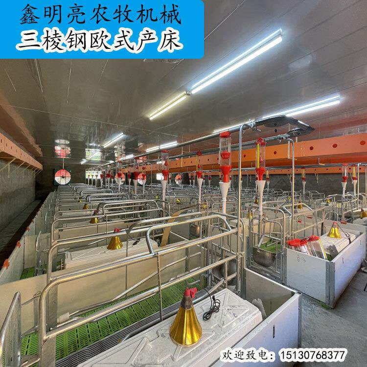 母猪产床欧式双体单体2.5mm热浸锌PVC隔板三棱钢母猪位