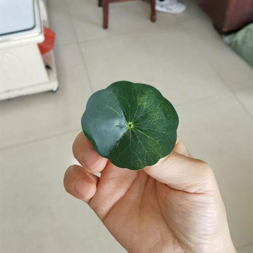 真胶植物仿真子仿真花仿布小SH200荷叶叶酒店盘式花装饰叶片大量