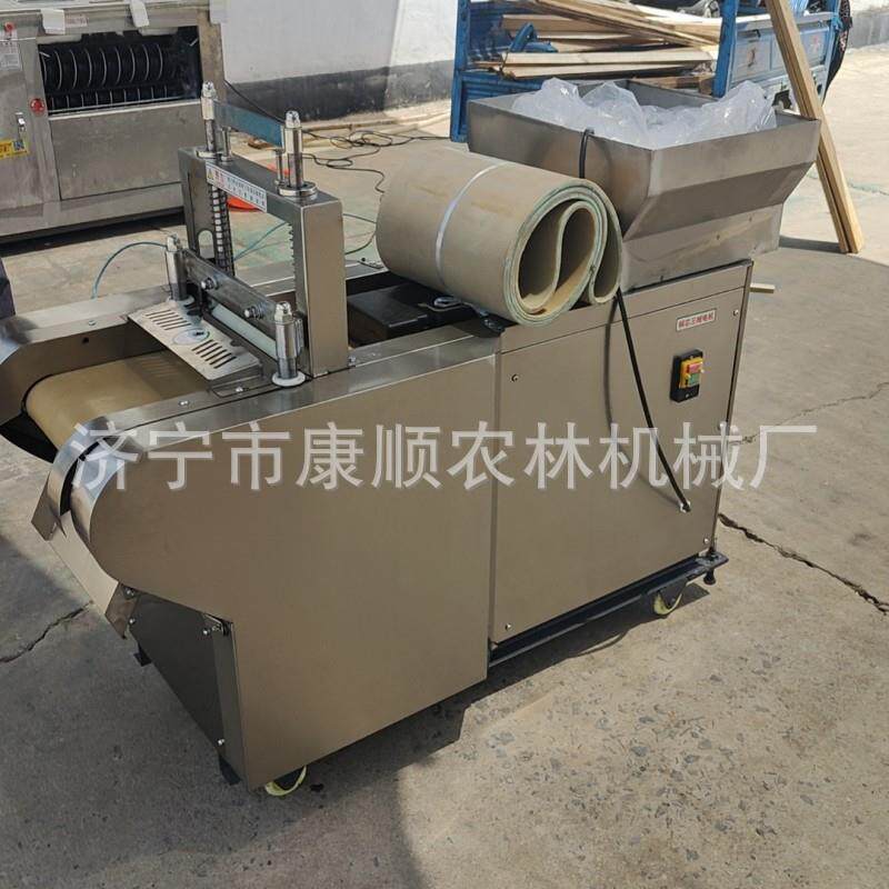 大型果脯切丁机 青梅桃干杏脯芒果干切丁机 1000型金桔香菇丁机