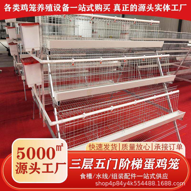 阶梯式蛋鸡笼鸡鸭饲养笼自动化镀锌养殖笼鸡舍配件层叠式蛋鸡笼子