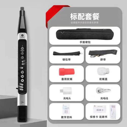 高档2024新雅思P60电吹管乐器大全雅佳同款中老款年电子萨乐斯笛