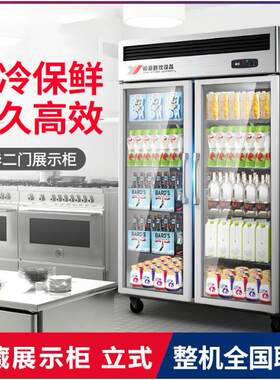 两双门冷藏柜立式冰柜商用冰箱家用冷柜蔬菜冷藏保鲜展示柜