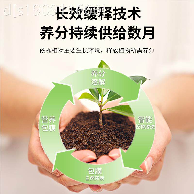 绿叶宝花叶肥缓释肥植物栽营养片家用盆绿叶宝机肥料控有释通用型