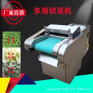 广西豆角切段机 大型鱿鱼切圈切块机切菜机 海带切丝机不锈钢