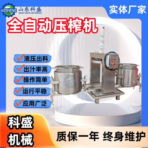 冰葡萄压榨机 水果压榨过滤机 雪梨膏压榨机 全自动液压压榨机