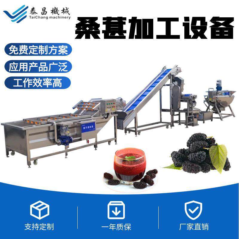 桑葚膏加工设备桑葚果深加工全套设备桑椹果汁生产线桑葚原浆加工