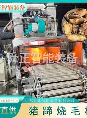 猪蹄ZOP动燎毛机带自皮猪五花肉耳朵连续式燎毛烧毛设备猪蹄烧毛