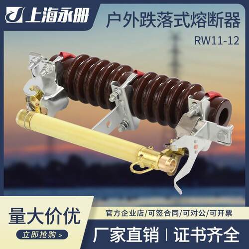 高压跌落式熔断器RW11-12/100A-200A令克开关10KV户外保险丝熔管
