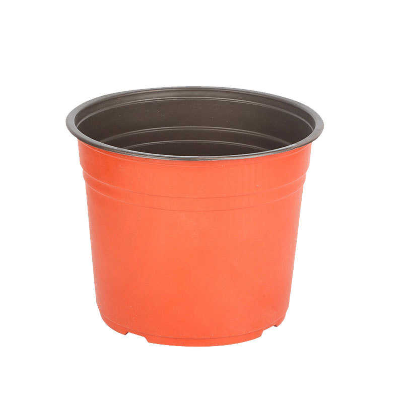 双色盆育苗盆加厚一次性简易花盆塑料大号多肉扦插盆营养杯育苗杯