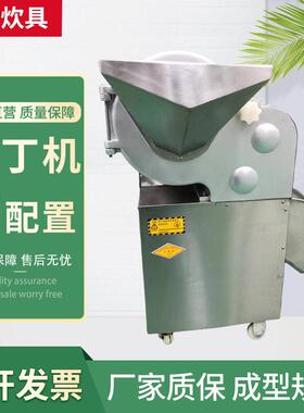 厂家切丁机100大型蔬菜水果食堂酒店用切片切丝商用 切丁机