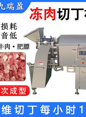 大型猪牛冻肉三维切丁机 3号鸡胸肉块肉丁机 速肉粒自动成型机