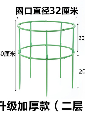 花架子家用支架通用型蟹爪兰花架莲花护叶架子园艺盆栽支撑杆
