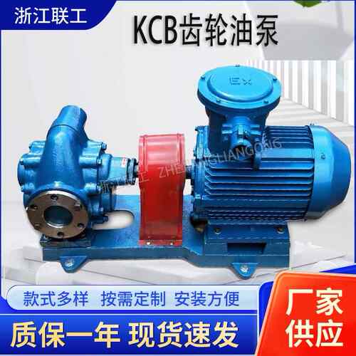 KCB齿轮式输油泵卧式KCB不锈钢齿轮泵2CY卧式齿轮油泵油泵厂家
