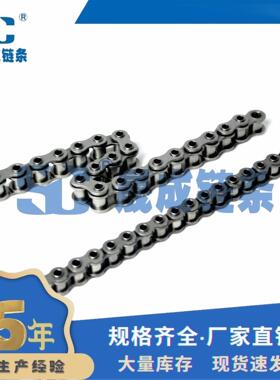 80HPF1短节距空心销轴链条节距25.4空心链网带穿杆链