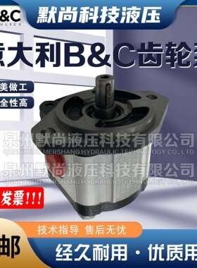 进口意大利油泵B&C齿轮泵BG30-19/22/28/33/37/44/52/61液压泵