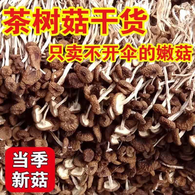 菌裕茶树菇新货一斤农家特产不开伞今年新鲜茶薪菇干货250g香菇