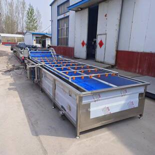 热情果气泡清洗机 牛油鼓泡清洗池 玫瑰茄翻浪清洗机器