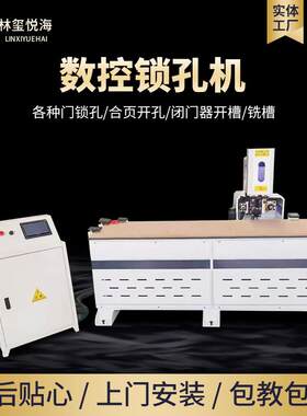 数控锁孔机青岛定制木工自动连线台式木门合页门单头双头锁孔机
