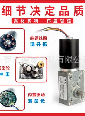 伟盛4058GW涡轮蜗杆减速电机12V24V蜗轮减速电机3650直流减速电机