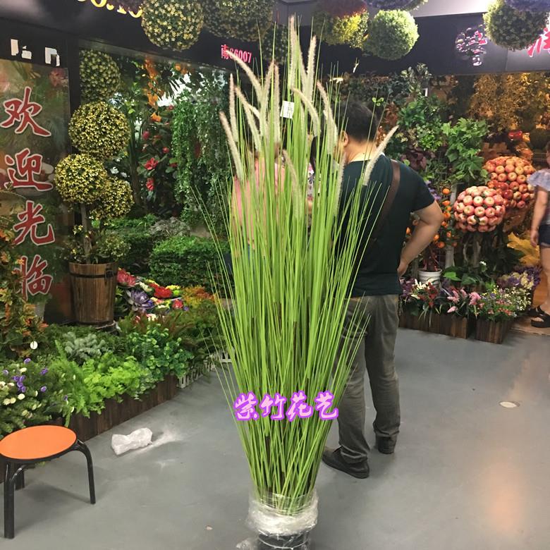 仿真狗尾巴草芦苇草绿植物影楼干花水草落地摆放花艺套装装饰花盆