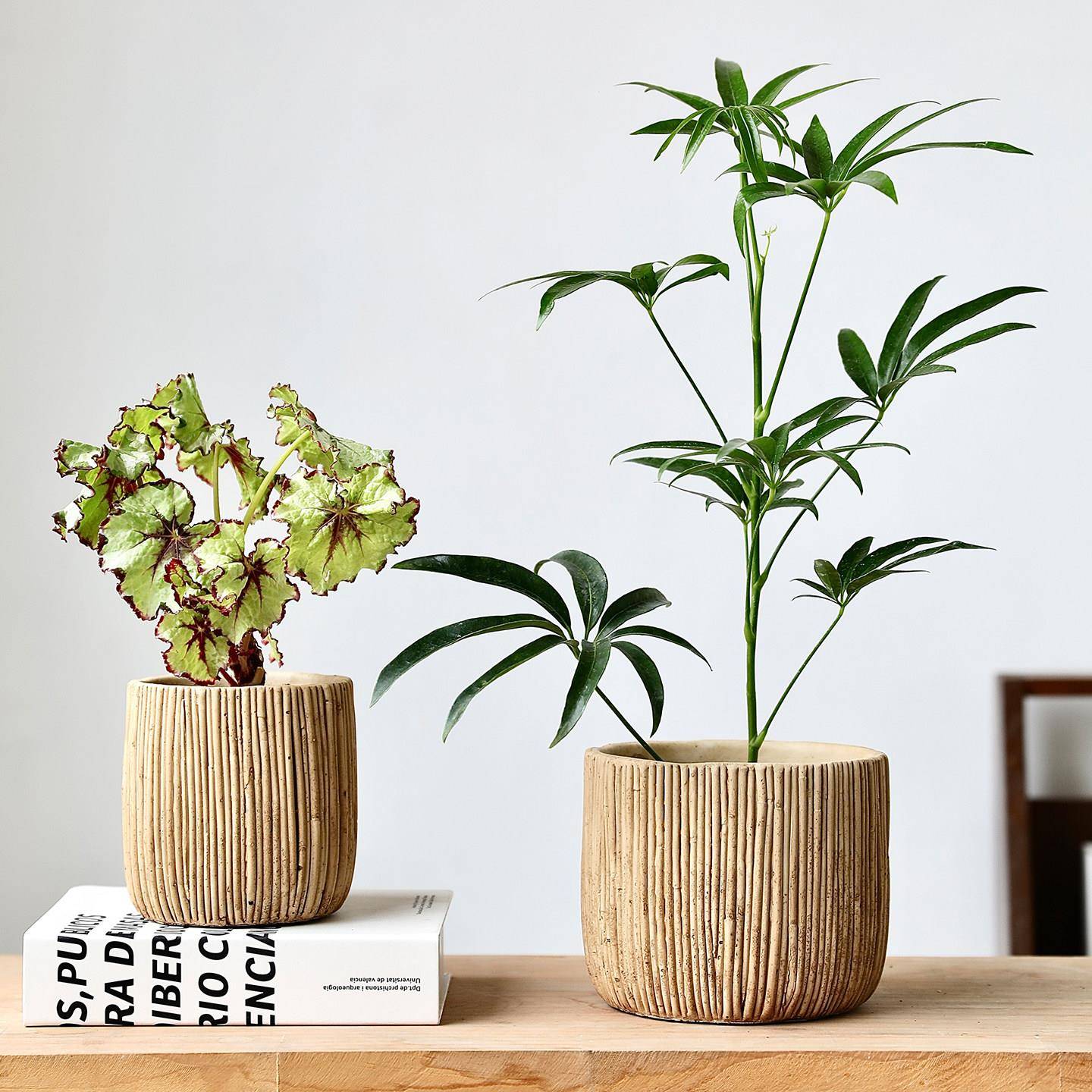 仿竹子编织水泥花盆竖纹木质圆形条纹竹编室内绿植盆栽装饰套盆图片