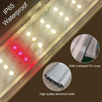 liweida 100W Lm301b led生长灯酒吧园艺充满谱分析660 nm红光可