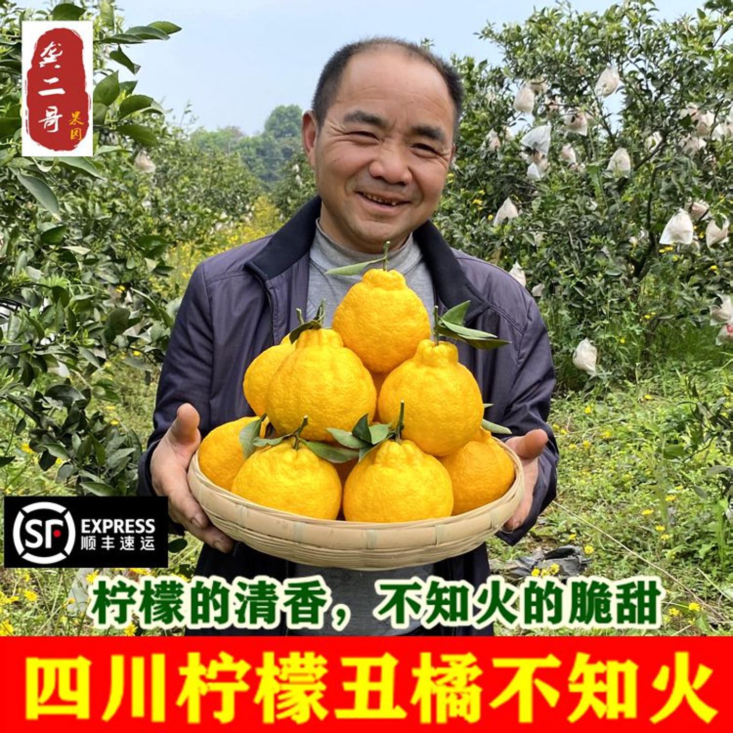 四川蒲江柠檬不知火丑橘丑柑不之火新鲜特级大果桔子现摘顺丰包邮
