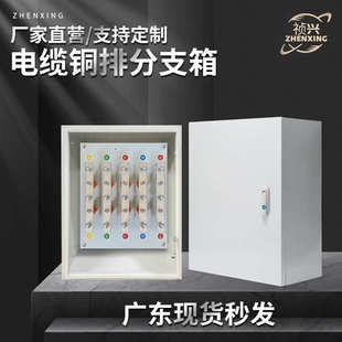 电缆铜排分支箱矿物电缆T接箱 接线端子分流箱高压电缆分支箱定制