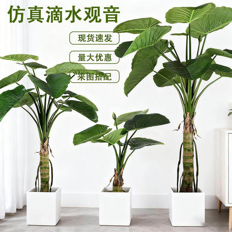 大型仿真绿植滴水观音盆栽客厅家居落地装饰摆件户外庭院造景植物