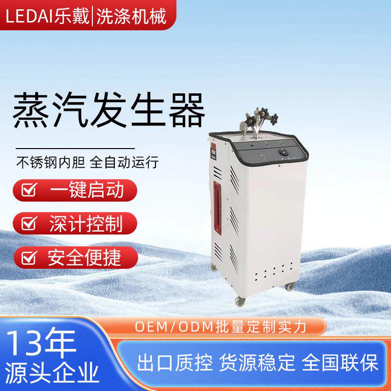 蒸汽发生器电加热12-0kw蒸汽锅炉智能控温蒸煮设备蒸汽发生器
