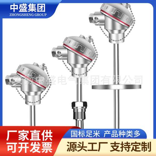 温度仪表高温耐磨热电偶WRNN2-436L=880*630φ25