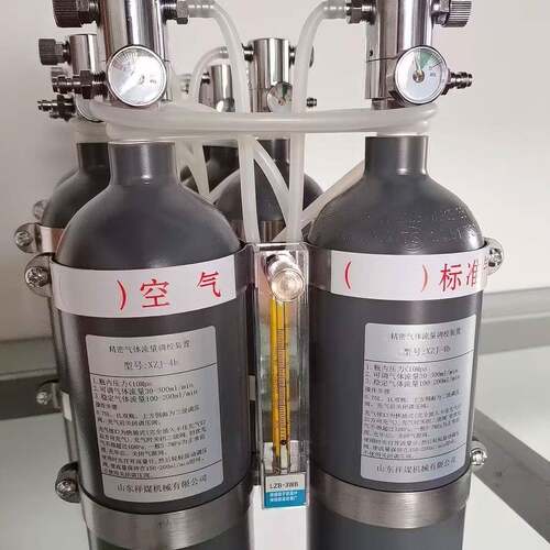矿用XZJ-4a甲烷传感器校验仪 精密气体流量调校装置 AP5标定仪1L
