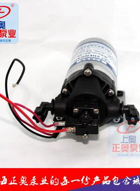 正奥泵业DP-130(B)微型12V工程塑料耐腐蚀电动泵