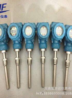 DWP-SBWZ-240温度变送器数字温度传感器数显温度传感器防爆热电阻
