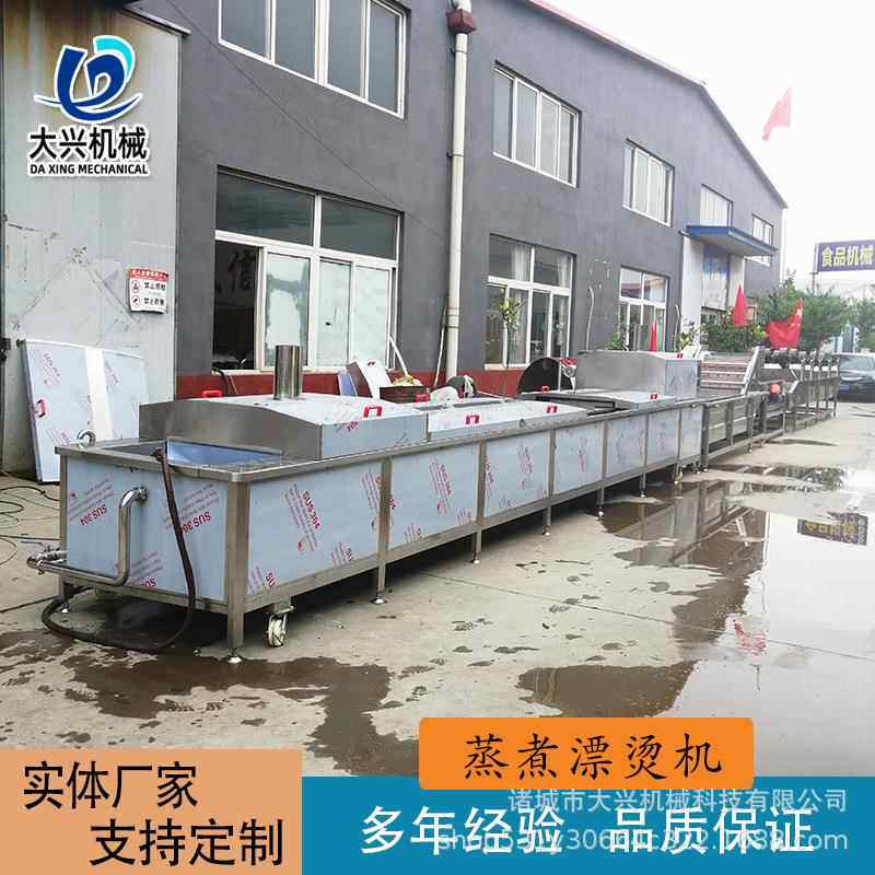 四喜丸子蒸煮漂烫线 大型玉米豆角漂烫设备 大兴西红柿漂烫流水线