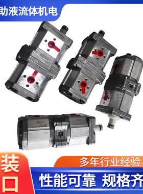 马祖奇液压双联齿轮泵液压站双联泵ALPA1-D-3+ALPP1-D-3