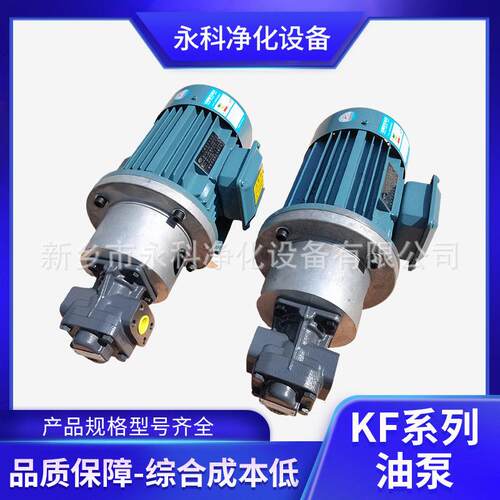 循环泵KF2.56F20A0ZV000AAE0GDW+D1F6D15齿轮油泵输油泵