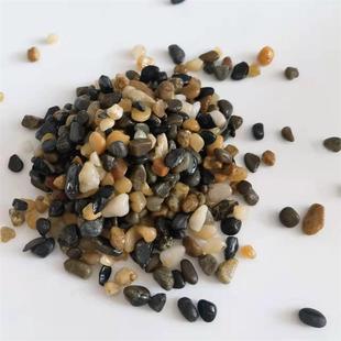 溪流沙原生底砂雷龙南美缸装饰沙天然小石子发色鱼龟缸造景大矶沙