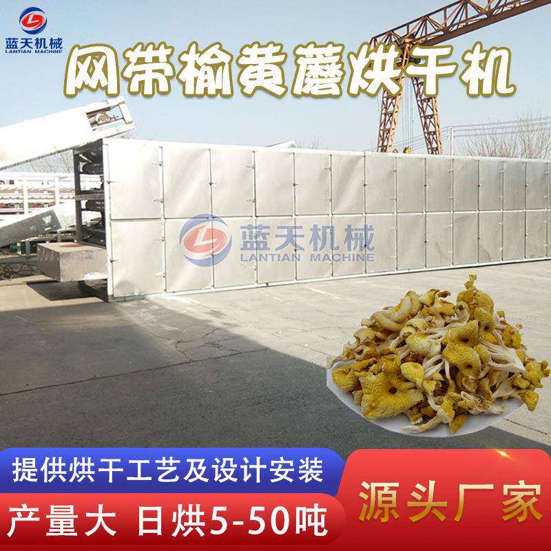榆黄蘑烘干机 多层网带黄平菇烘干设备 空气能金顶蘑黄金菇干燥机