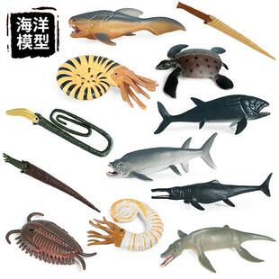 儿童实心仿真史前海洋迷你动物模型三叶草菊石鱼龙邓氏鱼玩具摆件
