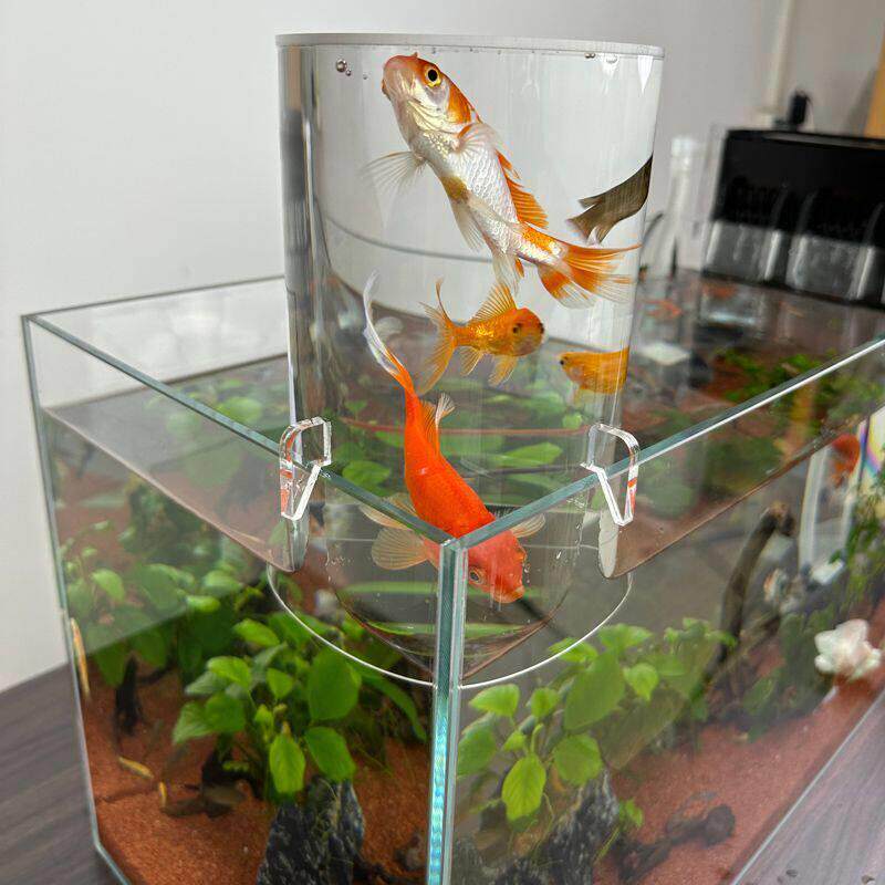 空中鱼缸悬挂负压真小创意桌面斗鱼孔雀鱼生态鱼缸美化装饰水族馆