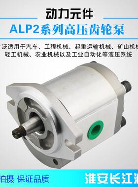 ALP2系列高压齿轮泵长期供应高效液压齿轮油泵质量好厂家直发长江