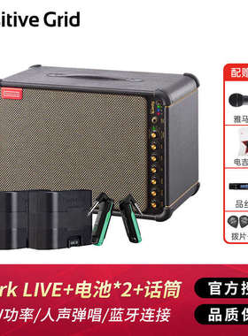 Spark GO电吉他贝斯LIVE蓝牙户外Positive Grid音箱Mini便携CAB