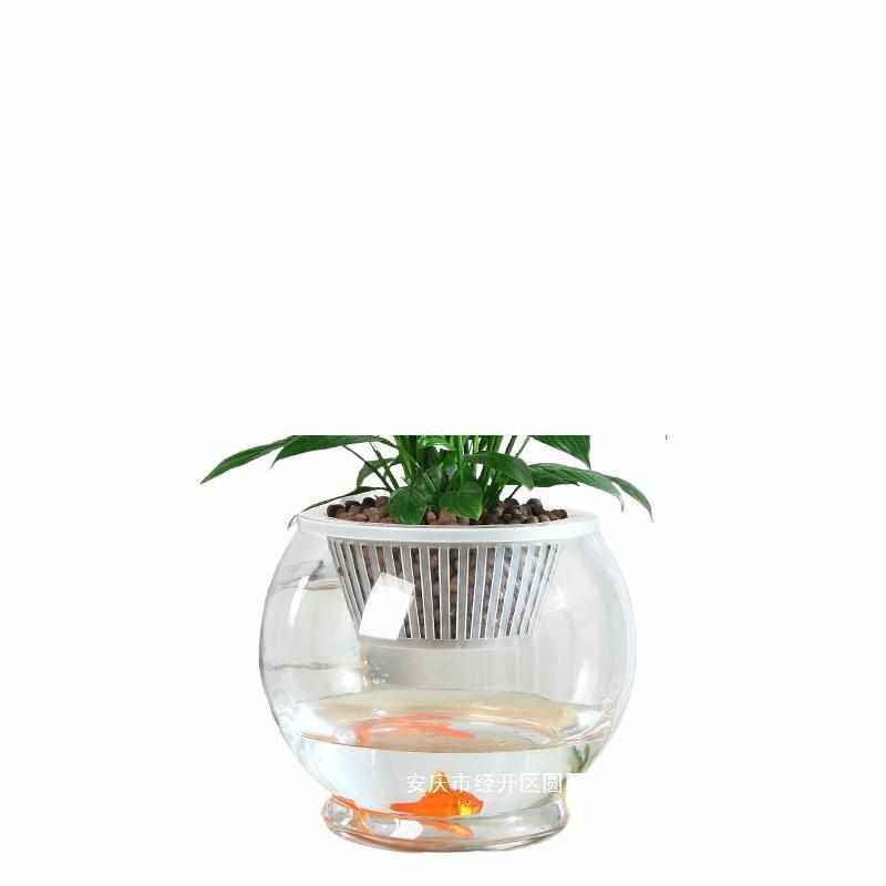 绿萝花器皿鱼缸透明瓶花盆植物玻璃瓶特大号水养容器摆件圆形