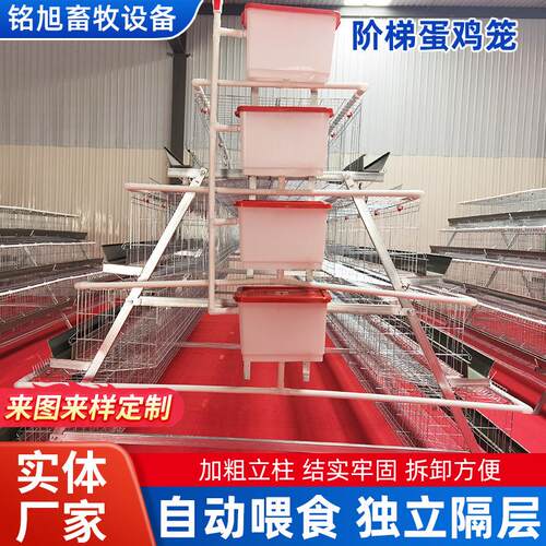 热镀锌阶梯蛋鸡笼厂家自动化框架式育雏笼三层四层立体防锈养殖笼