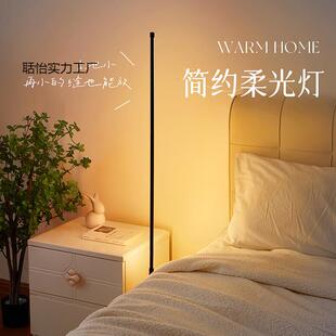 氛围站立暖光LED卧室落地灯客厅阅读睡眠床头式轻奢台灯房间高级