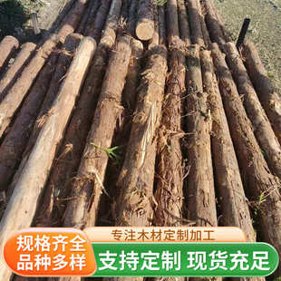 厂家直销杉木桩柳杉圆木桩驳岸河道工地河道打桩原木杉木杆批发杉