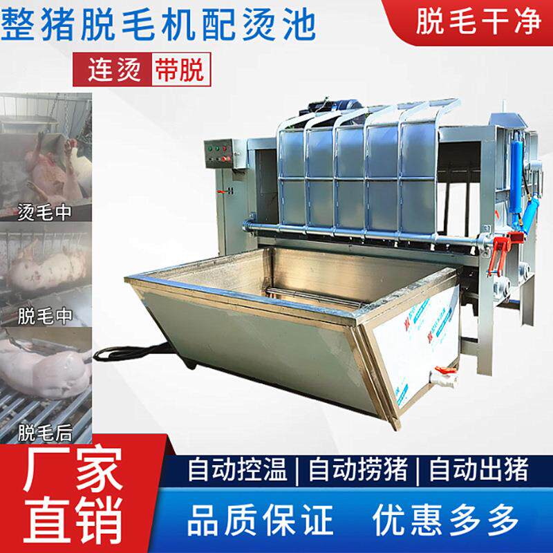 双液压自动捞放杀猪褪毛机配恒温烫猪池整猪打毛机猪脱毛设备
