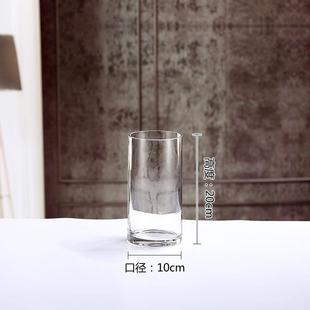 龙柳专用花瓶摆件客厅插花玻璃透明南天竹花瓶水培绿植水养高级感